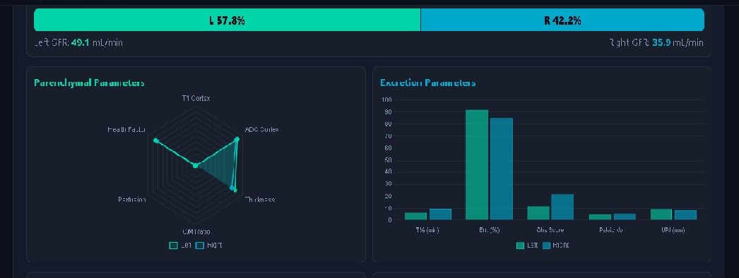 Renal analysis dashboard showing split function, left and right GFR, parenchymal parameter radar and excretion parameter charts